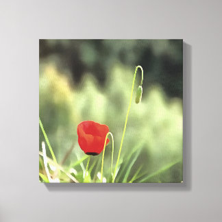 One Poppy Artistic Wildflower Painting Canvas Print