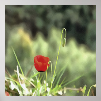 One Poppy Artistic Wildflower Painting Poster