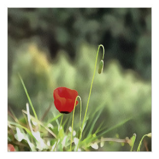 One Poppy Artistic Wildflower Painting Poster