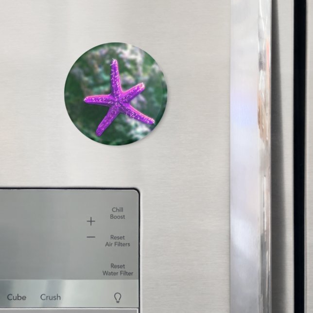 One Purple Starfish Rocky Beach Magnet (In Situ (Fridge))