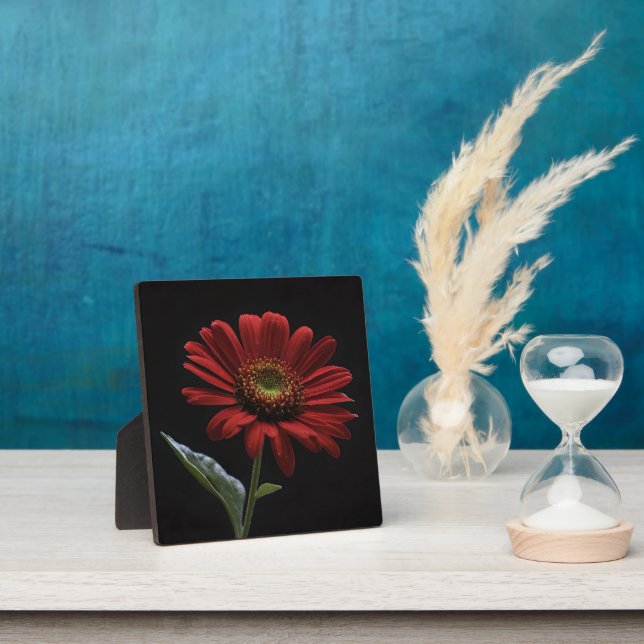 One Red Daisy Left Side On Black, Plaque (Insitu)