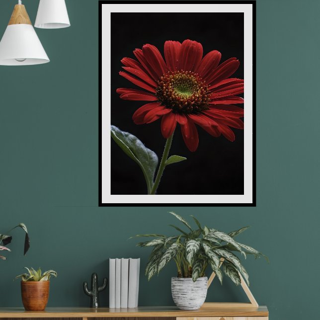 One Red Daisy Left Side On Black, Poster (Living Room 1)