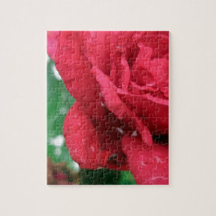 One Red Rose Jigsaw Puzzle