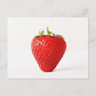 One Red Strawberry pcm Postcard
