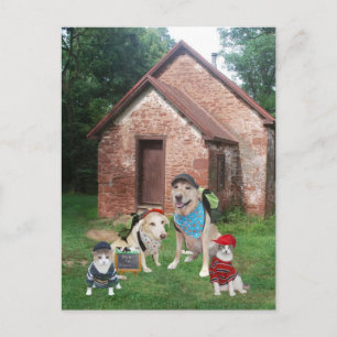 One Room School Postcard
