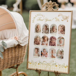 One Silly Goose 1st Birthday Photo Milestone Poster