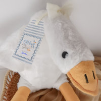 One Silly Goose Adopt a Stuffie First Birthday