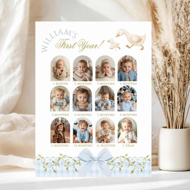 One Silly Goose Boy 1st Birthday Photo Milestone Poster (Creator Uploaded)