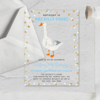 One Silly Goose Boys 1st Birthday