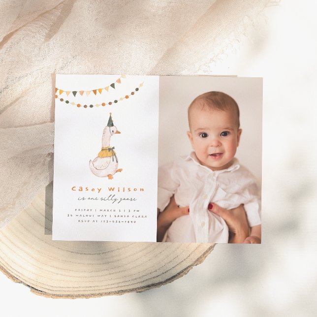 One Silly Goose Budget Photo First Birthday Party (Creator Uploaded)