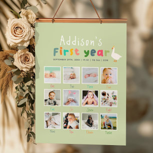 One Silly Goose First Year Birthday Photo Collage Poster