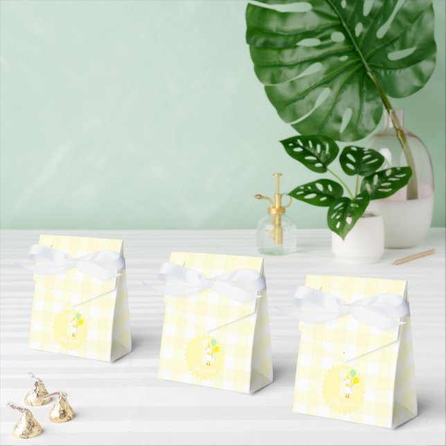 One Silly Goose Gingham 1st Birthday Favour Box (Multiple)