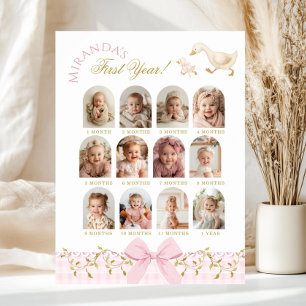 One Silly Goose Girl 1st Birthday Photo Milestone Poster