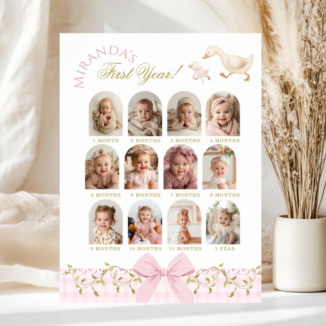 One Silly Goose Girl 1st Birthday Photo Milestone Poster (Creator Uploaded)