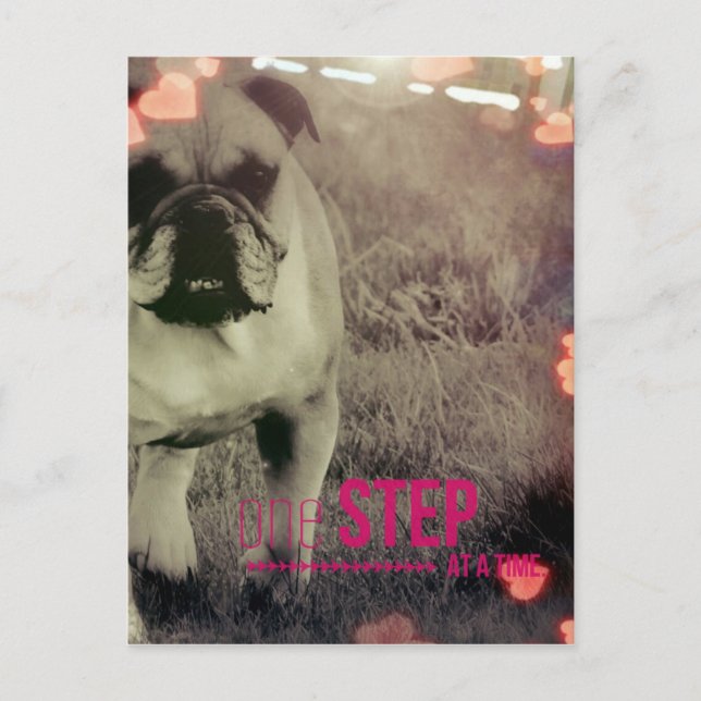 One Step at a time, Bulldog Postcard (Front)
