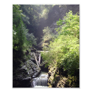 ONE SUMMER'S DAY IN THE GLEN. NO.2 PHOTO 2011 PRINT