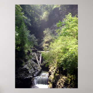 ONE SUMMER'S DAY IN THE GLEN. NO.2 POSTER 2011