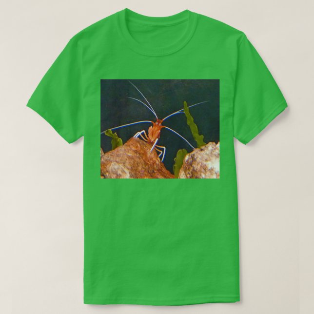 One Surprised Looking Crustacean T-Shirt (Design Front)