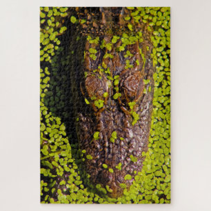 One Thousand Plus Pieces of Alligator Jigsaw Puzzle
