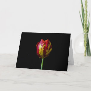 One Tulip - Card
