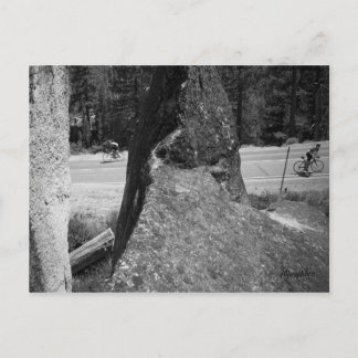 One Up One Down Postcard