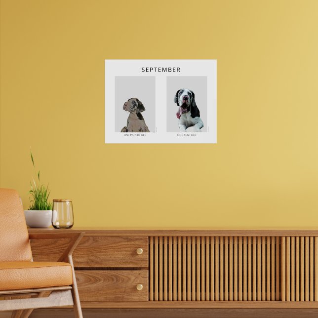 One Week one Month Old Great Dane  Poster (Living Room 2)