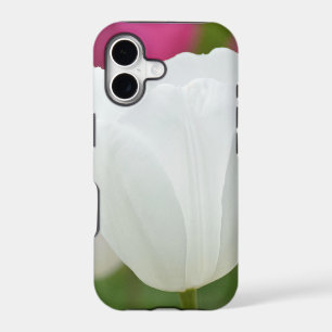One White Tulip