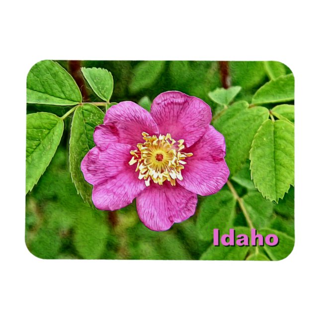One Wild Rose Magnet (Horizontal)