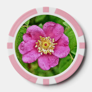 One Wild Rose Poker Chips