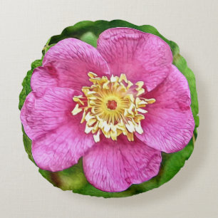 One Wild Rose Round Cushion