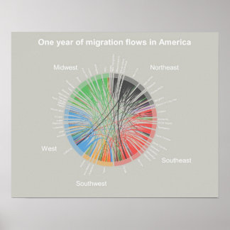 One year of migration flows in America Poster