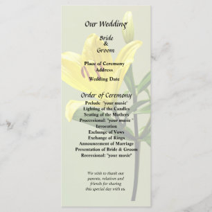 One Yellow Lily Programme