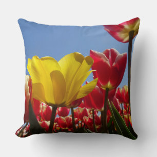 One Yellow Tulip in Red Tulips Field Throw Pillow