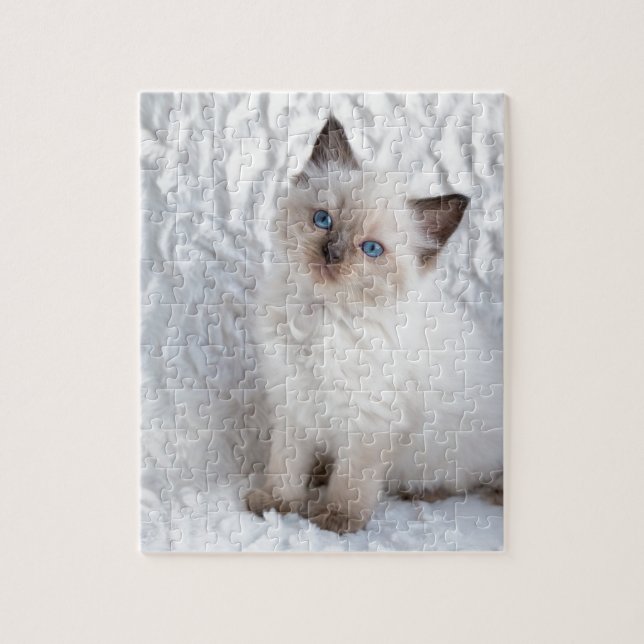 One young ragdoll cat sitting on fur in chair jigsaw puzzle (Vertical)