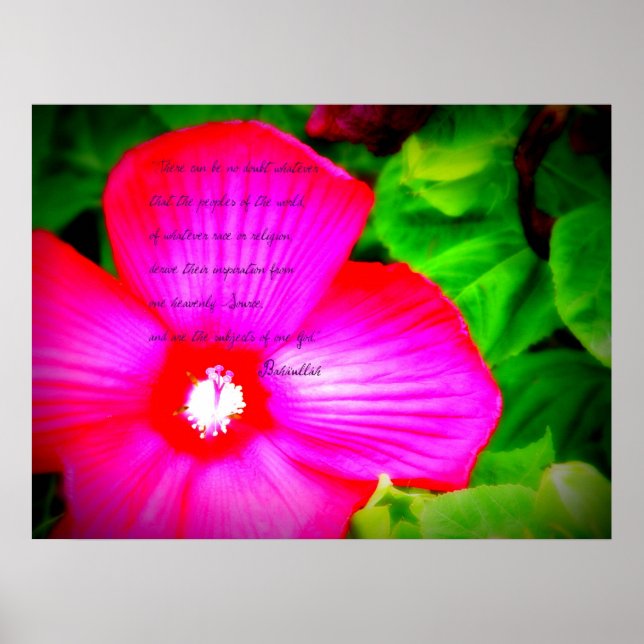 OneHeavenlySource Poster (Front)