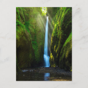 Oneonta Falls Postcard