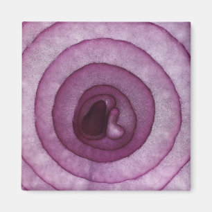 Onion Magnet