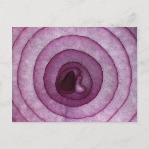 Onion Postcard