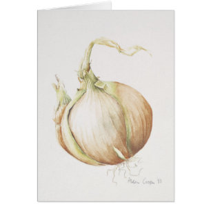Onion Study 1993