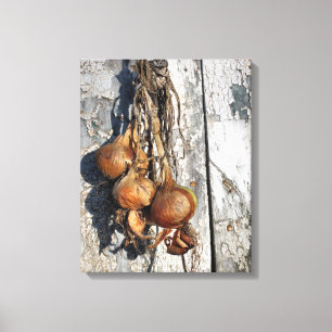 ONIONS CANVAS PRINT