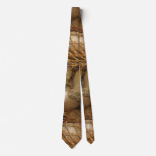 Onions In Net Food Vegetables Spicy Cooking Funny Tie