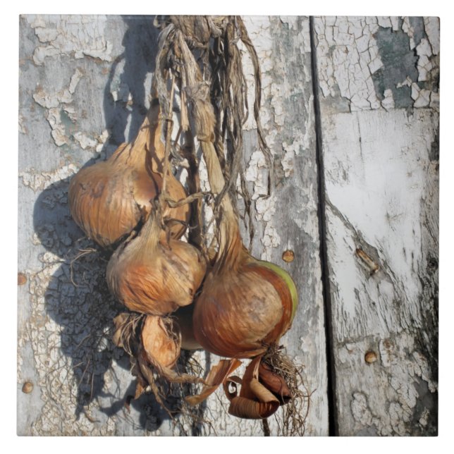 ONIONS TILE (Front)