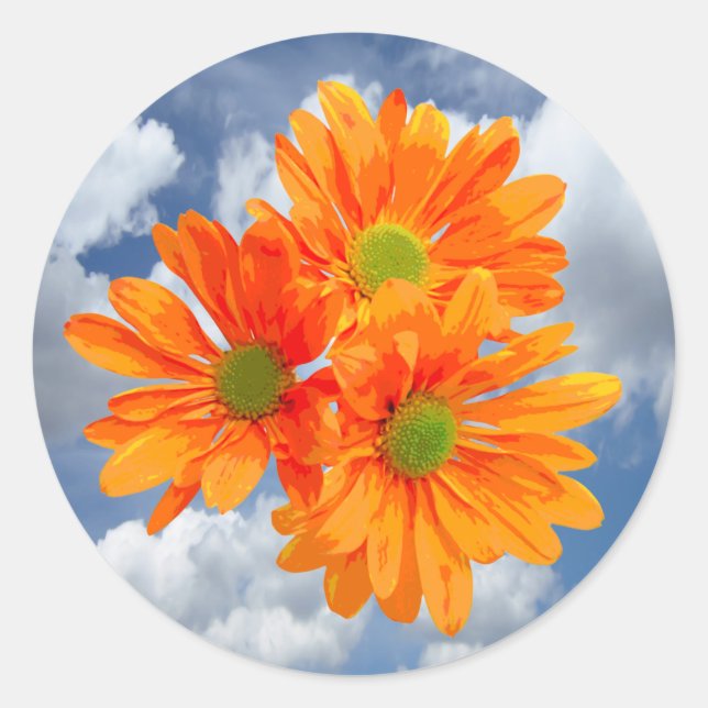 Only 3 Gerbera Daisy Blossoms + your text & ideas Classic Round Sticker (Front)