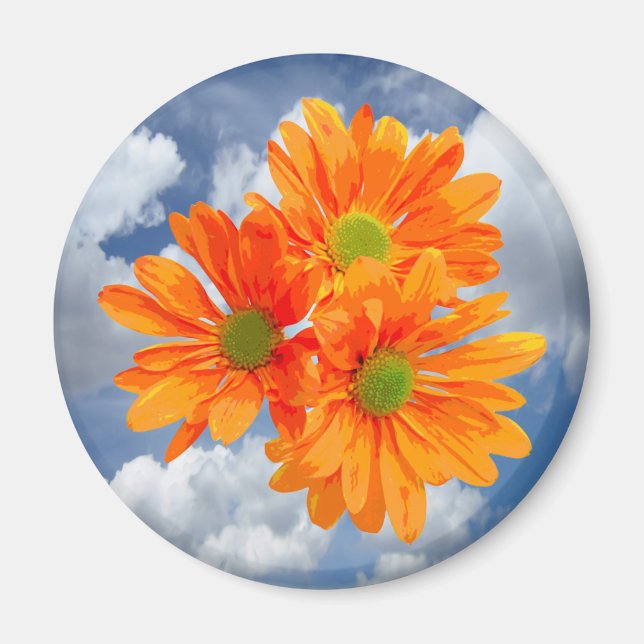Only 3 Gerbera Daisy Blossoms + your text & ideas Magnet (Front)