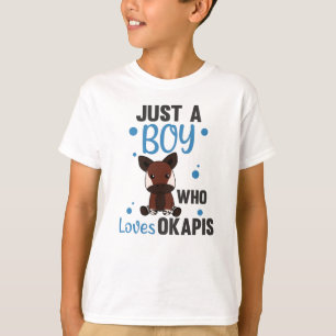 Only A Boy Of Okapis Loves - Waldgiraffe Zebra T-Shirt