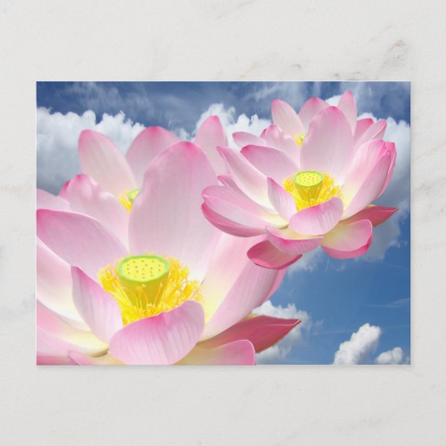 Only a Lotus Blossom + your text & ideas Postcard (Front)