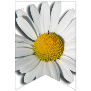 Only a Marguerite Blossom + your backgr. & ideas Bunting