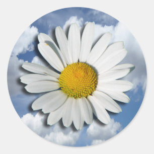 Only a Marguerite Blossom + your text & ideas Classic Round Sticker