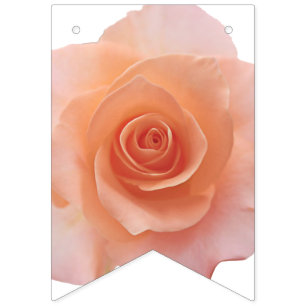 Only a Rose Blossom + your backgr. & ideas Bunting
