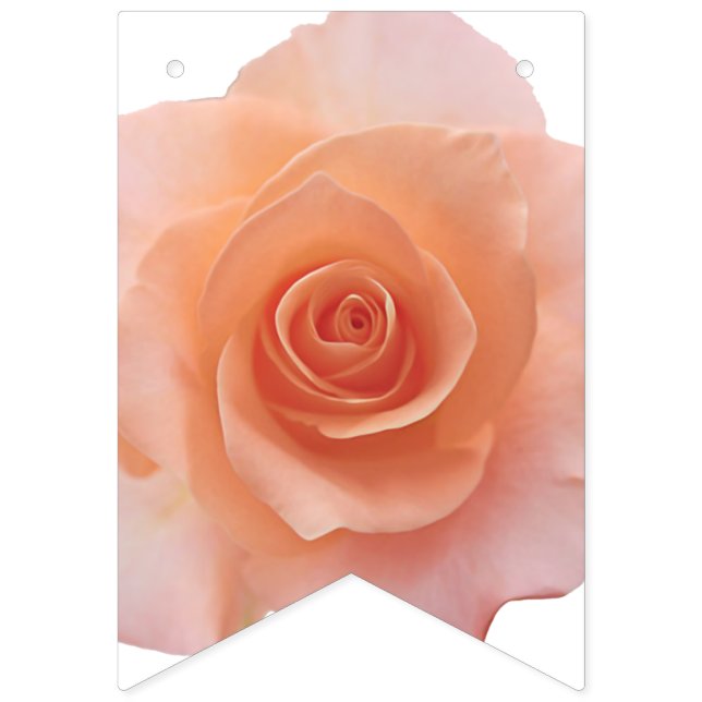 Only a Rose Blossom + your backgr. & ideas Bunting (First Flag)